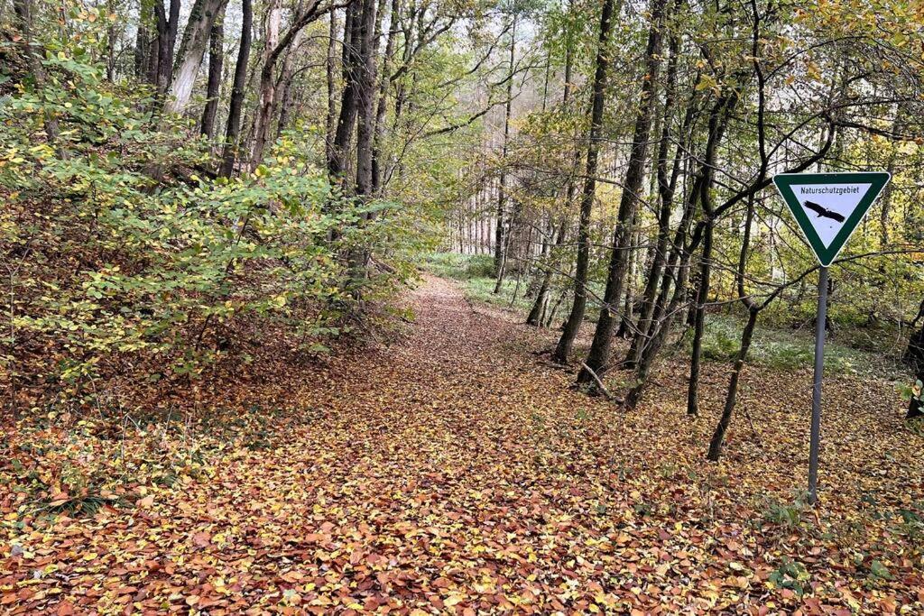 Forest Retreat- Serene 160M2 With Forest Views Вермельскирхен Экстерьер фото
